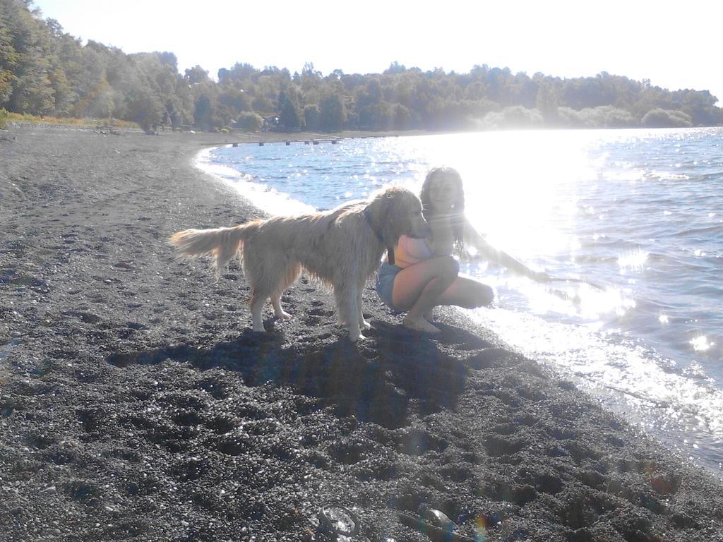 Bosque Del Lago Pucón Eksteriør bilde